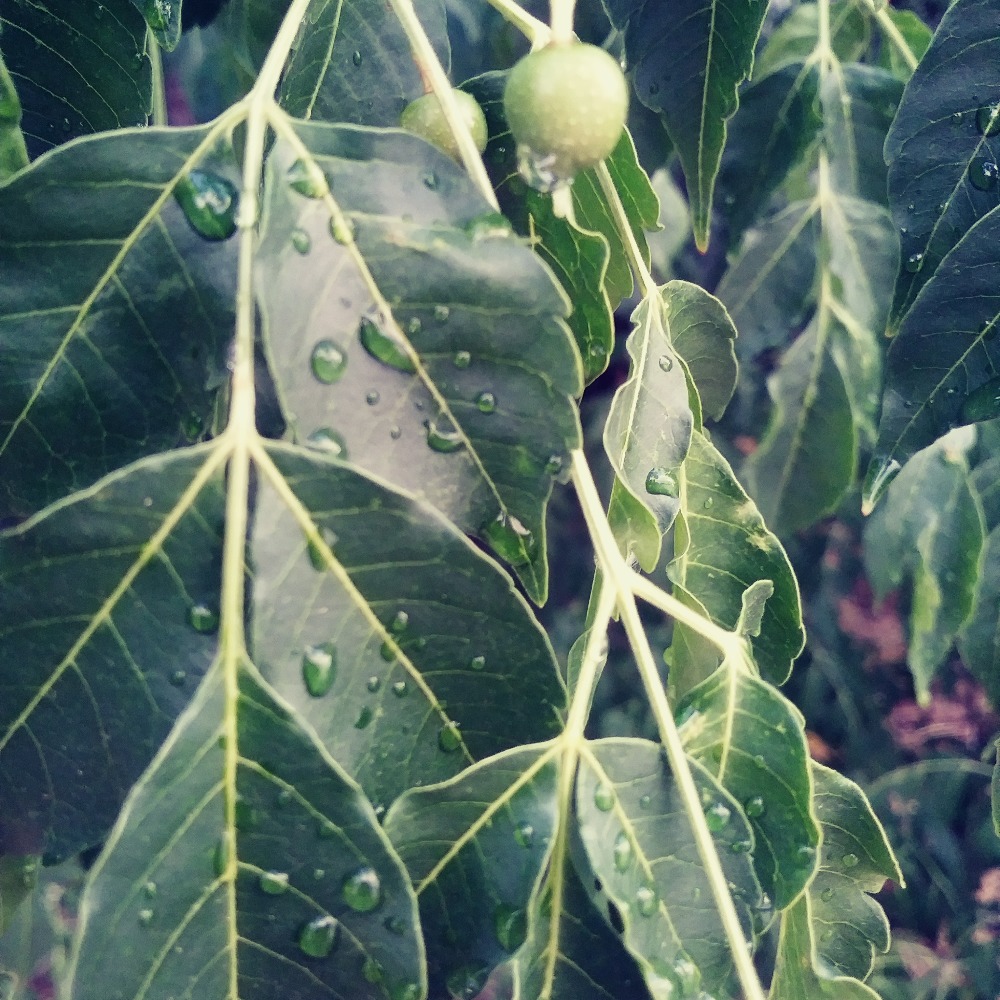 Meet your Posher, Aubrey